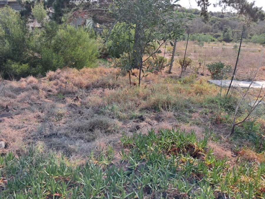  Bedroom Property for Sale in Tergniet Western Cape